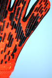 Reusch Attrakt Freegel Gold Finger Support Junior 5372130 3333 black red 3